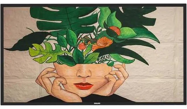 Main image of Philips D-Line Display Series 65" UHD 4K Commercial Monitor Model 65BDL4650D/00
