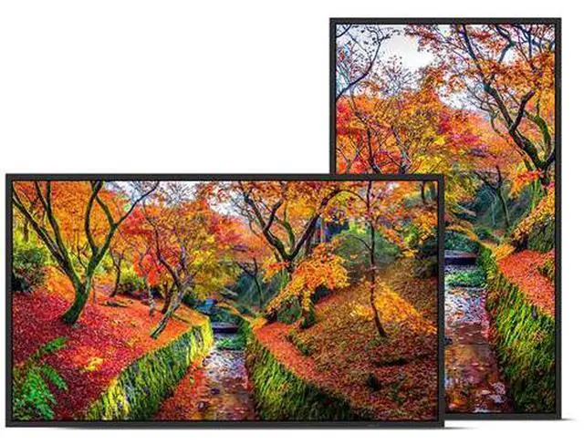 Alt view image 2 of 3 - Sharp 75" UHD 4K Commercial Monitor Model PN-E759