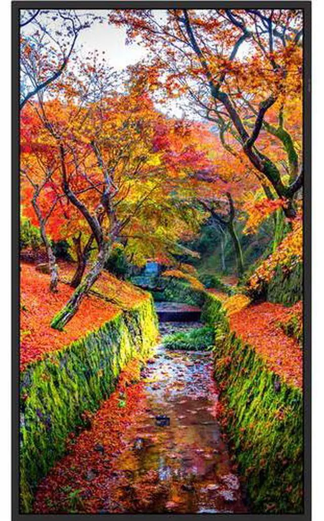 Alt view image 3 of 3 - Sharp PN-E659 65" UHD 4K Commercial Monitor Model PN-E659