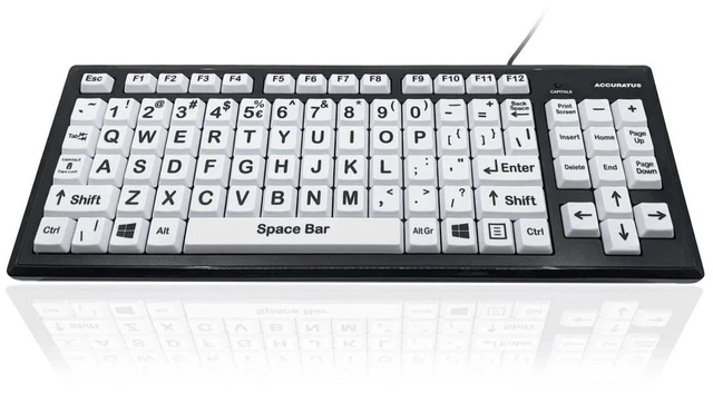 Main image of ERGOGUYS High Contrast Keyboard Wh Key Bl Letters