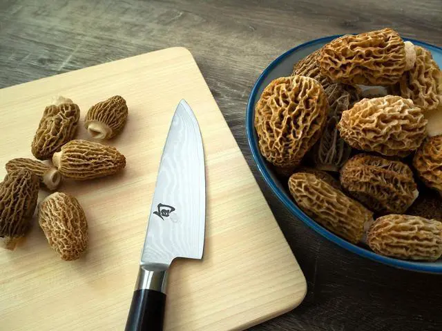 Alt view image 9 of 9 - Shun 6-in. Classic Chef's Knife