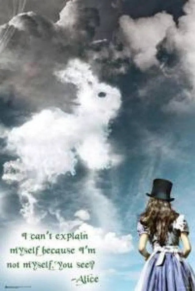Main image of Alice In Wonderland Illusions Poster Print (22 x 34)