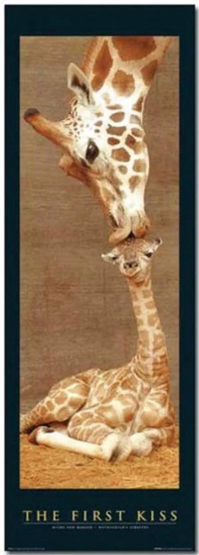 Main image of First Kiss Poster Print (21 x 62)