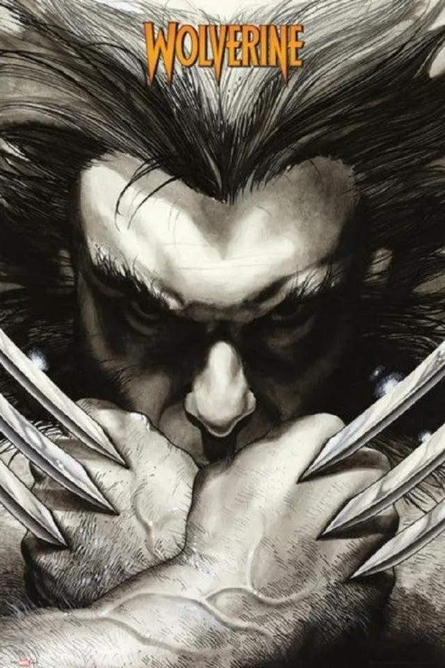 Main image of Marvel Wolverine Claws Poster Print (24 X 36)