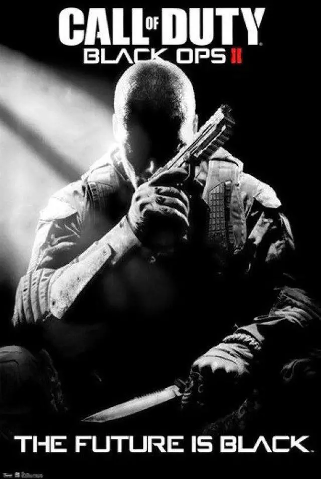 Main image of Call of Duty Black Ops II - Stealth Poster Print (24 x 36)