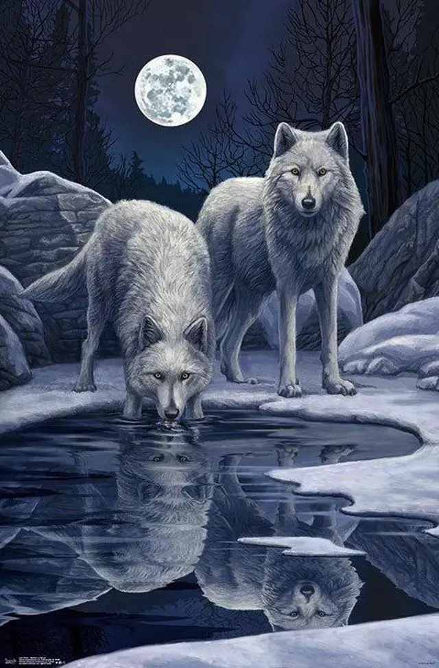 Main image of Lisa Parker - Warriors Of Winter Poster Print (22 x 34)