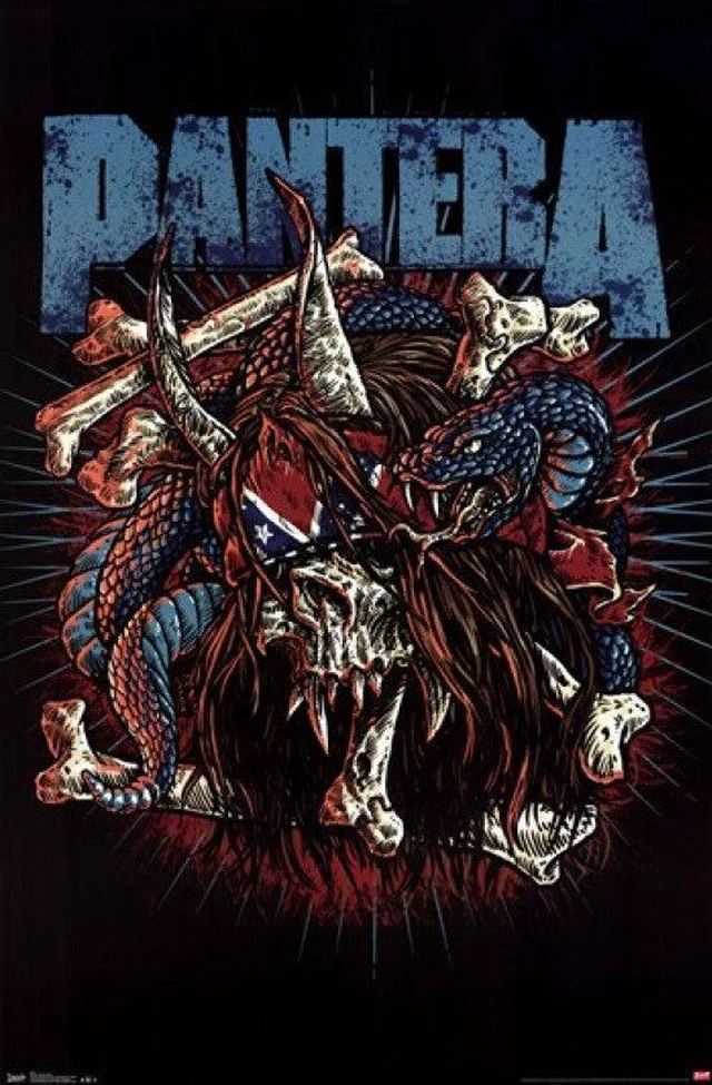 Main image of Pantera - Rocker Skull Poster Print (24 x 36)