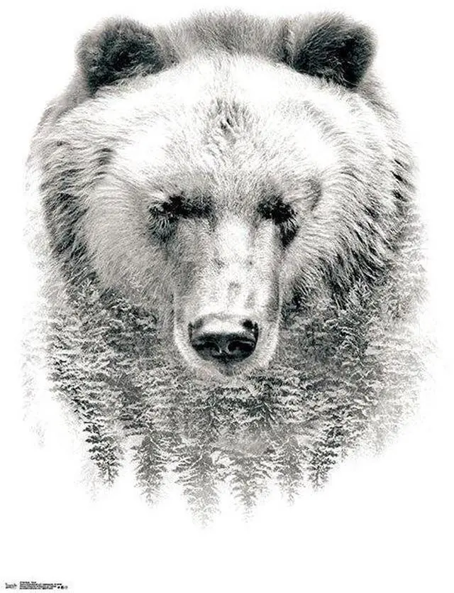 Main image of Bear - Trees Poster Print (22 x 34)