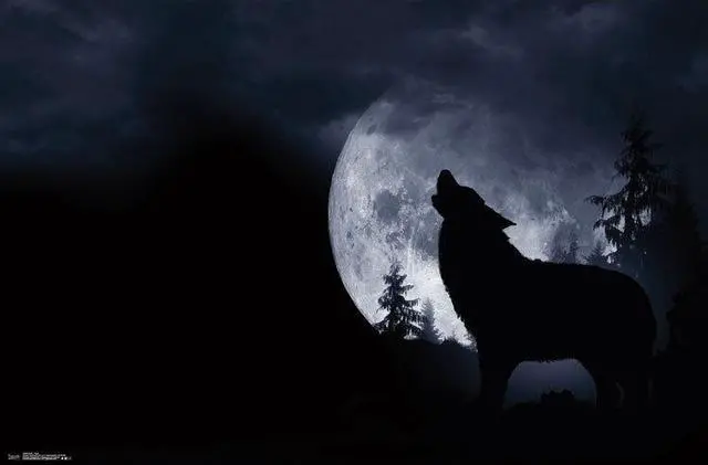 Main image of Wolf - Howl Poster Print (34 x 22)