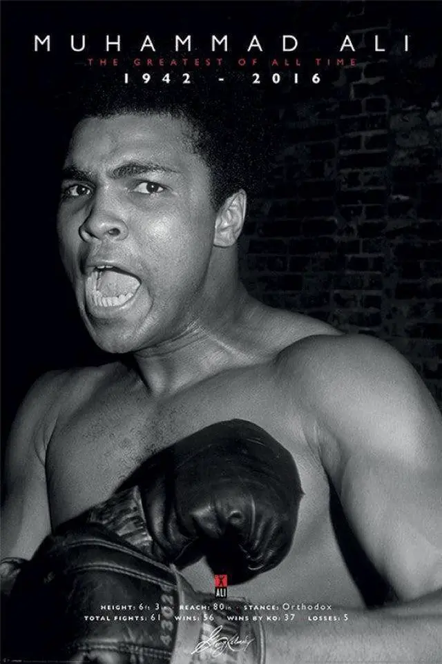 Main image of Muhammad Ali Memorial poster 1942 - 2016 Poster (36 x 24)