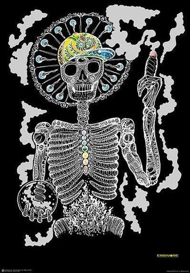 Main image of Dia De Los Dmt Poster Print (22 x 34)