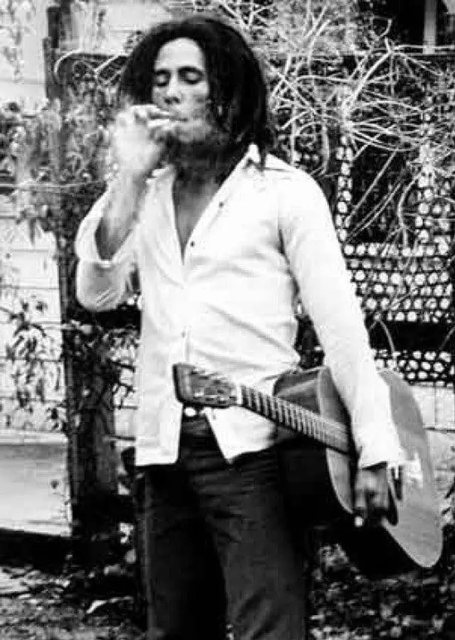 Main image of Bob Marley Spliff Spliffguitar Poster Print (22 x 34)
