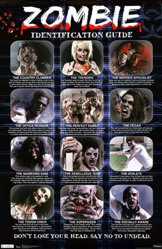 Main image of Zombie - ID Guide Poster Print (24 x 36)
