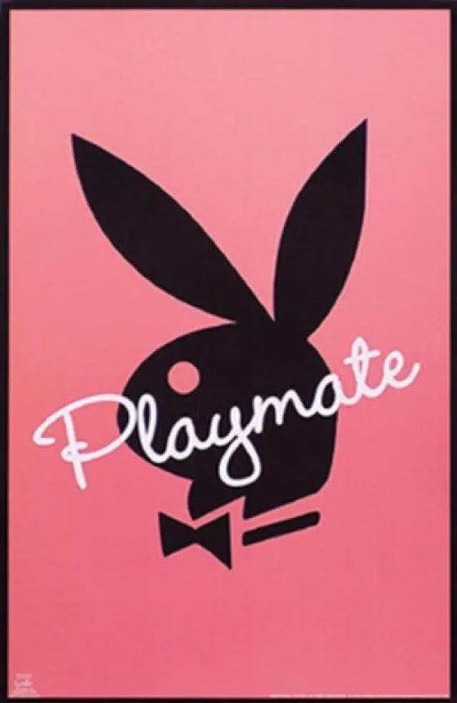 Main image of Playmate- Pink Poster Print (24 x 36)