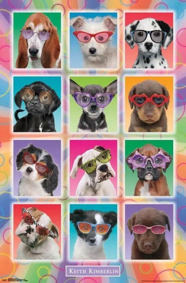 Main image of Puppies - Sunglasses Poster Print (22 x 34)