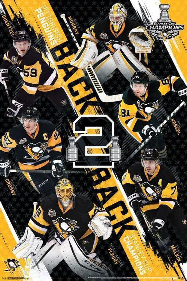 Main image of 2017 Stanley Cup_ - Champions Poster Print (22 x 34)