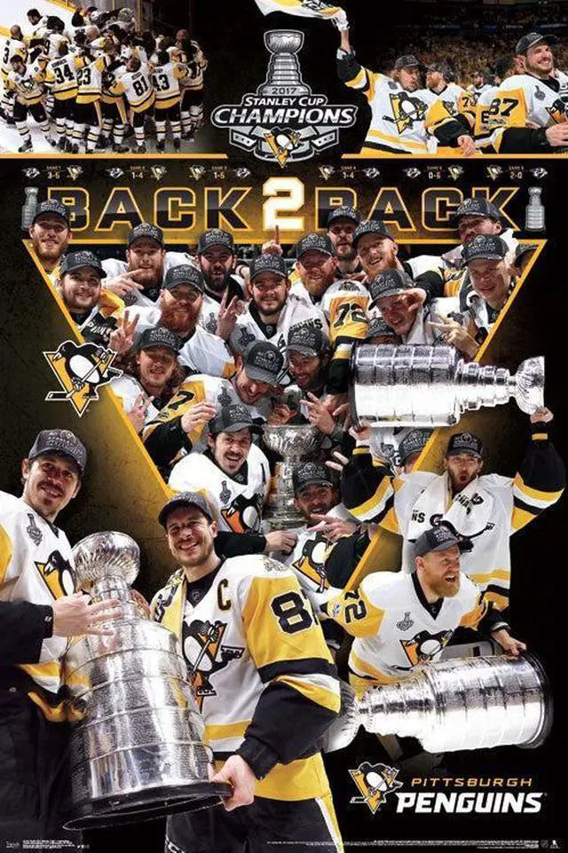 Main image of 2017 Stanley Cup_ - Celebration Poster Print (22 x 34)