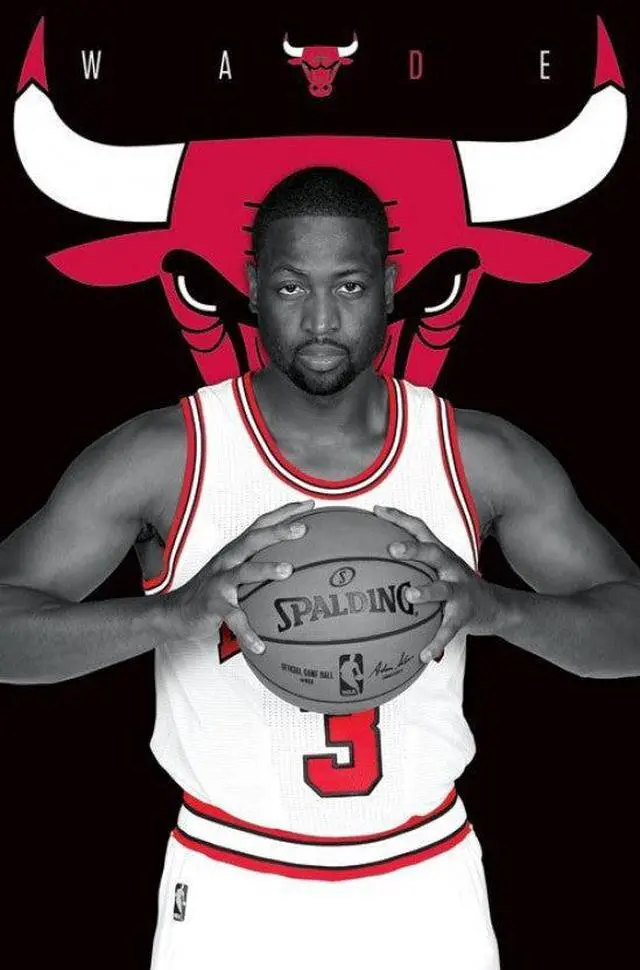 Main image of Chicago Bulls - Dwayne Wade 16 Poster Print By (22 x 34)