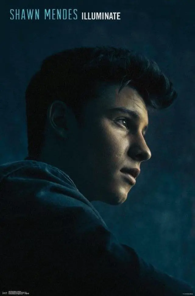 Main image of Shawn Mendes - Illuminate Poster Print (22 x 34)