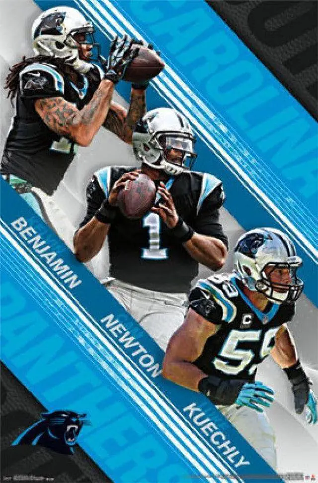 Main image of Carolina Panthers - Team 2015 Poster Print (24 x 36)