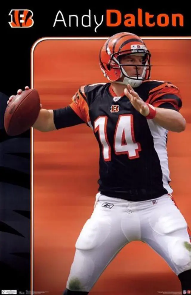Main image of Cincinnati Bengals - Andy Dalton 2011 Poster Print (24 x 36)