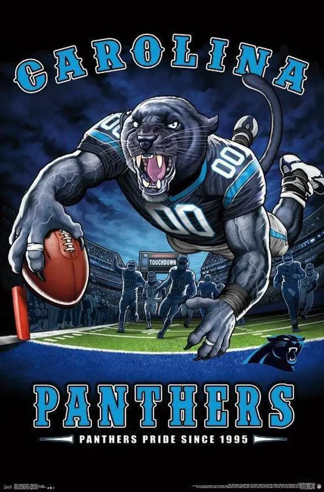 Main image of Carolina Panthers - End Zone Poster Print (22 x 34)