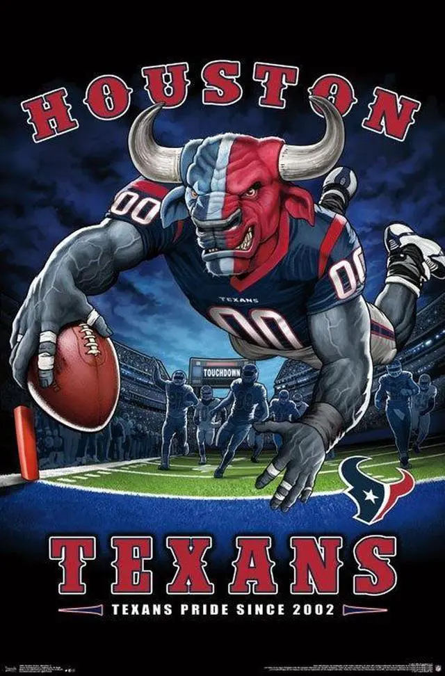 Main image of Houston Texans - End Zone Poster Print (22 x 34)