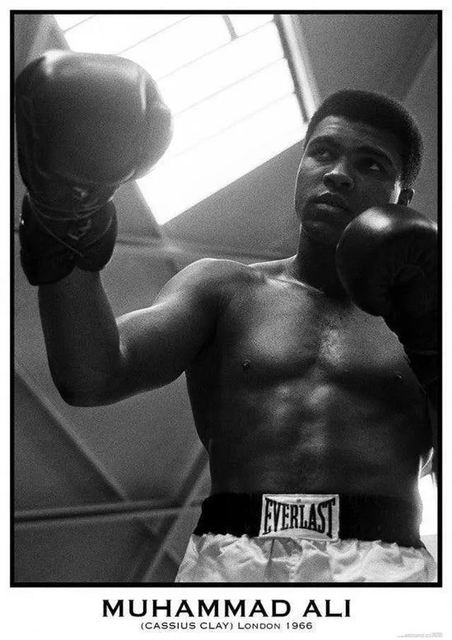 Main image of Muhammad Ali Gloves Poster Print (34 x 22)