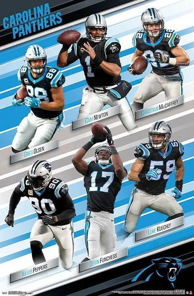 Main image of Carolina Panthers - Team Poster Print (22 x 34)