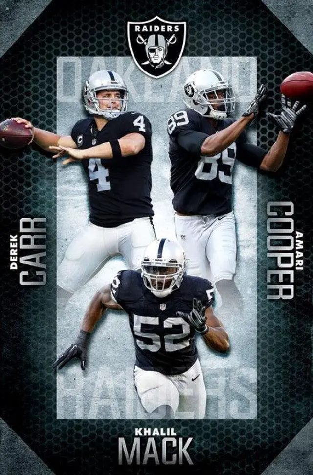 Main image of Oakland Raiders - Team 16 Poster Print By (22 x 34)