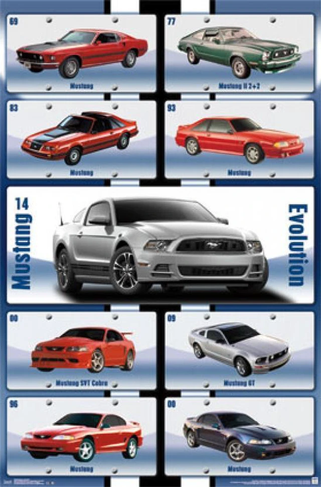 Main image of Mustang - Evolution Poster Print (22 x 34)