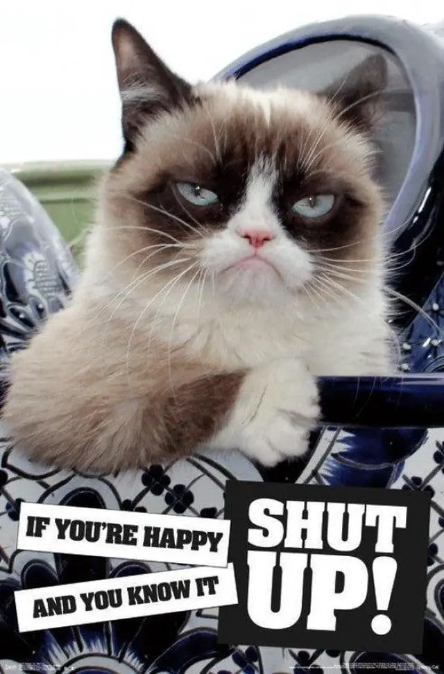 Main image of Grumpy Cat - Shut Up Poster Print (22 x 34)