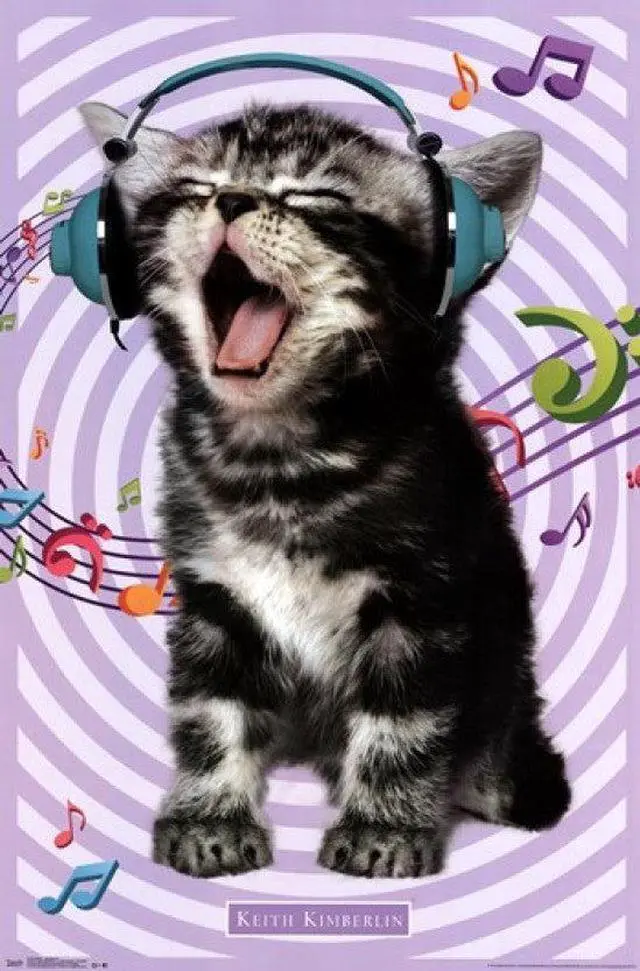 Main image of Kitten - Singing 14 Poster Print (22 x 34)