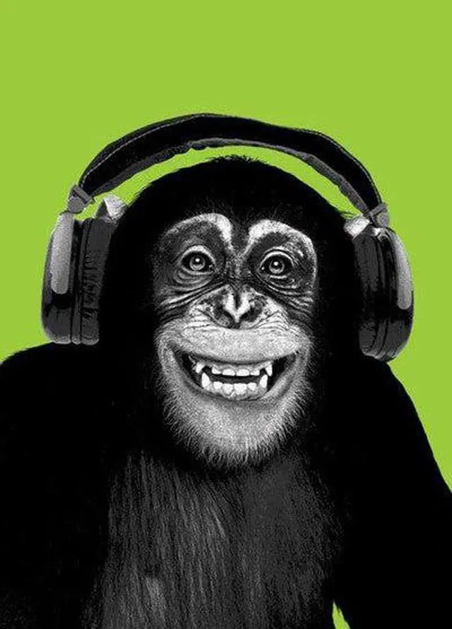 Main image of Chimpanzee Headphones Poster Print (22 x 34)