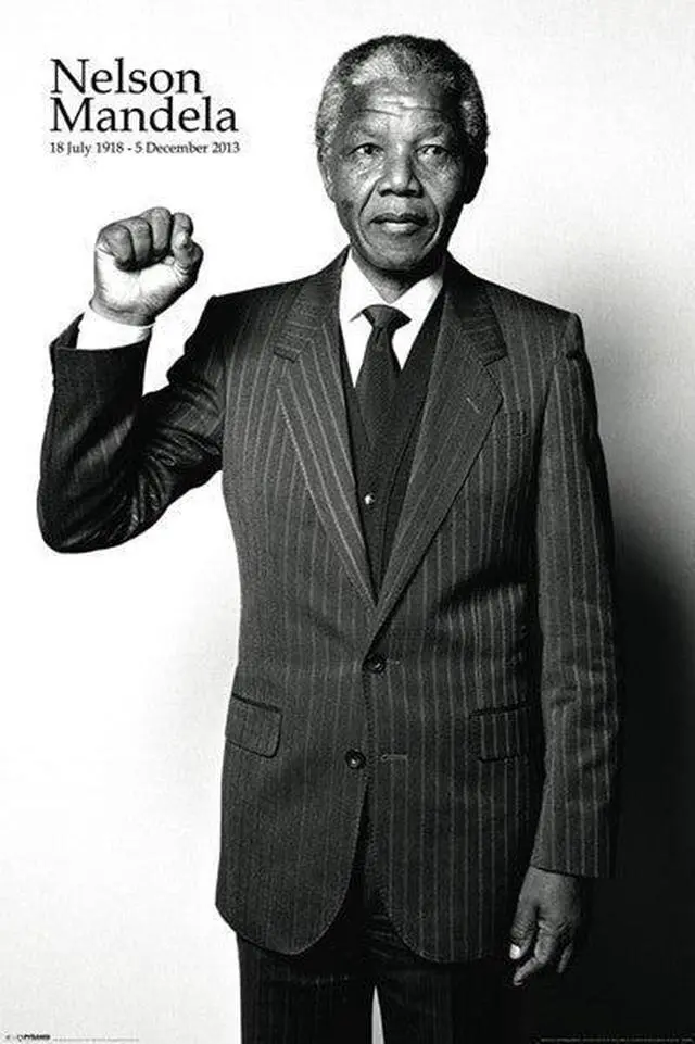 Main image of Nelson Mandela - Salute Poster Print (22 x 34)