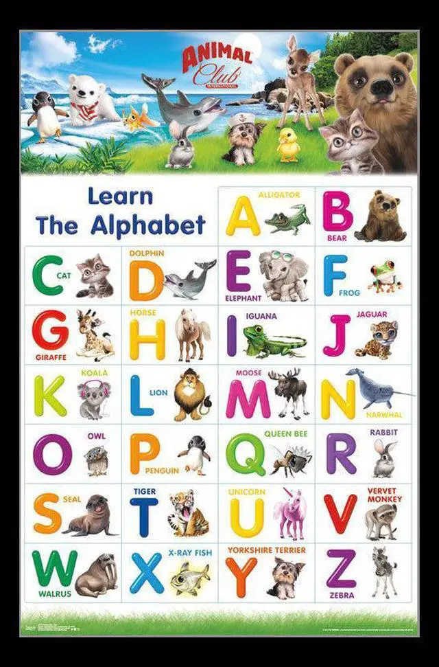 Main image of Animal Club - Abc Poster Print (22 x 34)