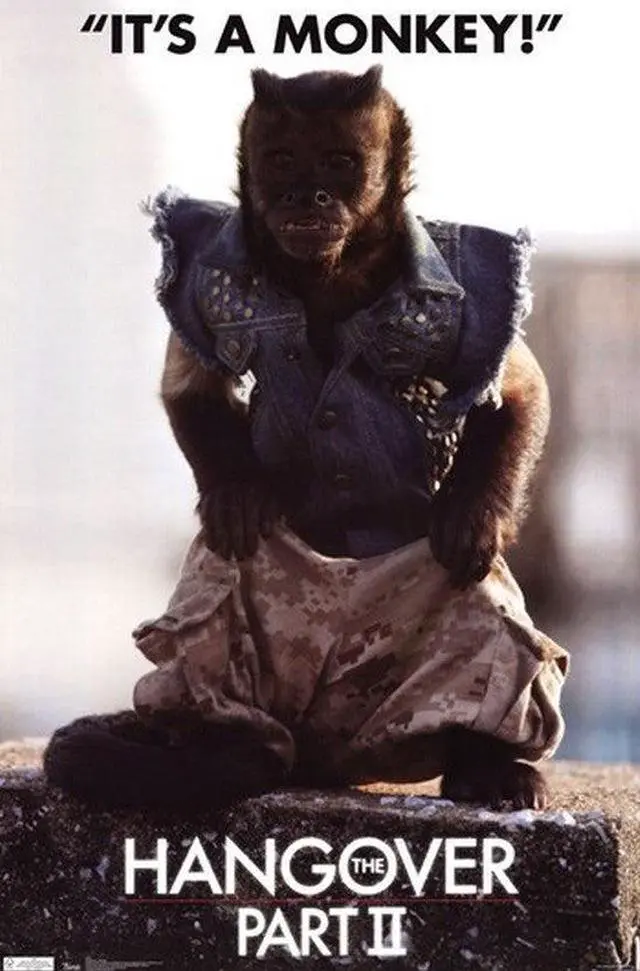 Main image of Hangover 2 - Monkey Poster Print (24 x 36)
