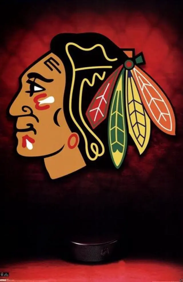 Main image of Chicago Blackhawks - Logo 2009 Poster Print (24 x 36)