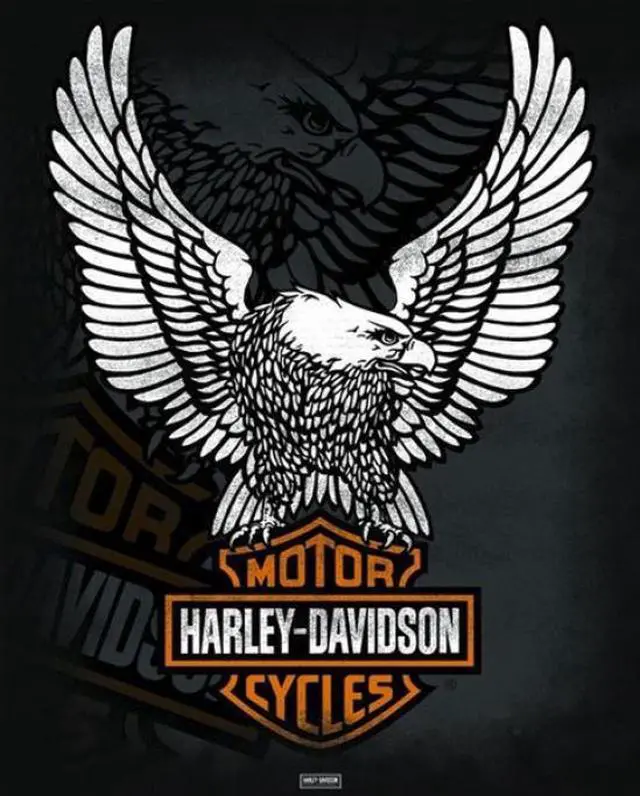 Main image of Harley Davidson - Eagle Poster Print (16 x 20)