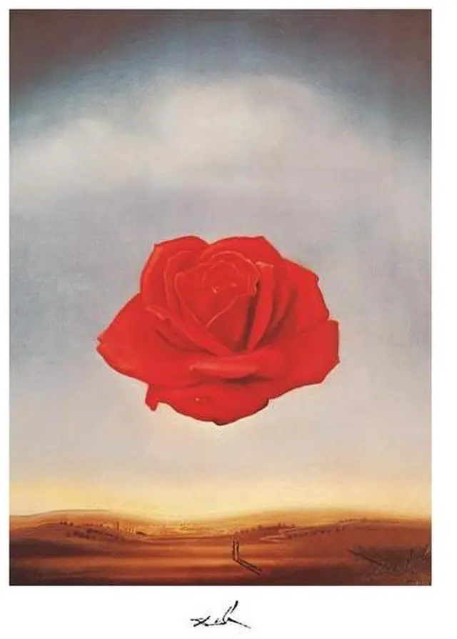 Main image of Meditative Rose, c.1958 Poster Print by Salvador Dali (11 x 14)
