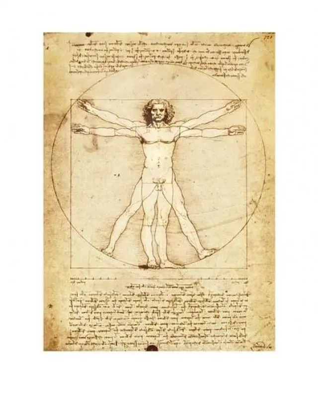 Main image of Vitruvian Man 1492 Poster Print (11 x 14)