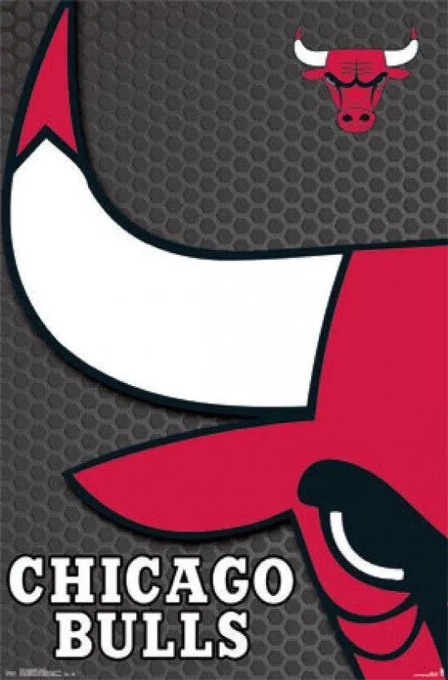Main image of Chicago Bulls - Logo 2014 Poster Print (22 x 34)