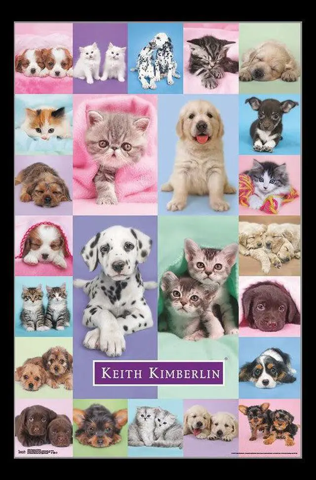 Main image of Puppies & Kittens Poster Print (22 x 34)
