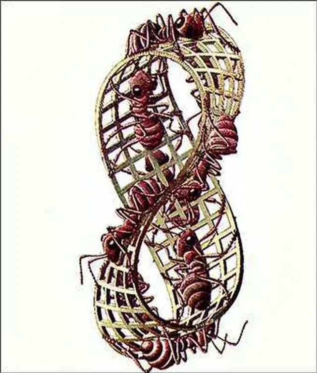 Main image of Mobius Strip Poster Print by M.C. Escher (22 x 26)