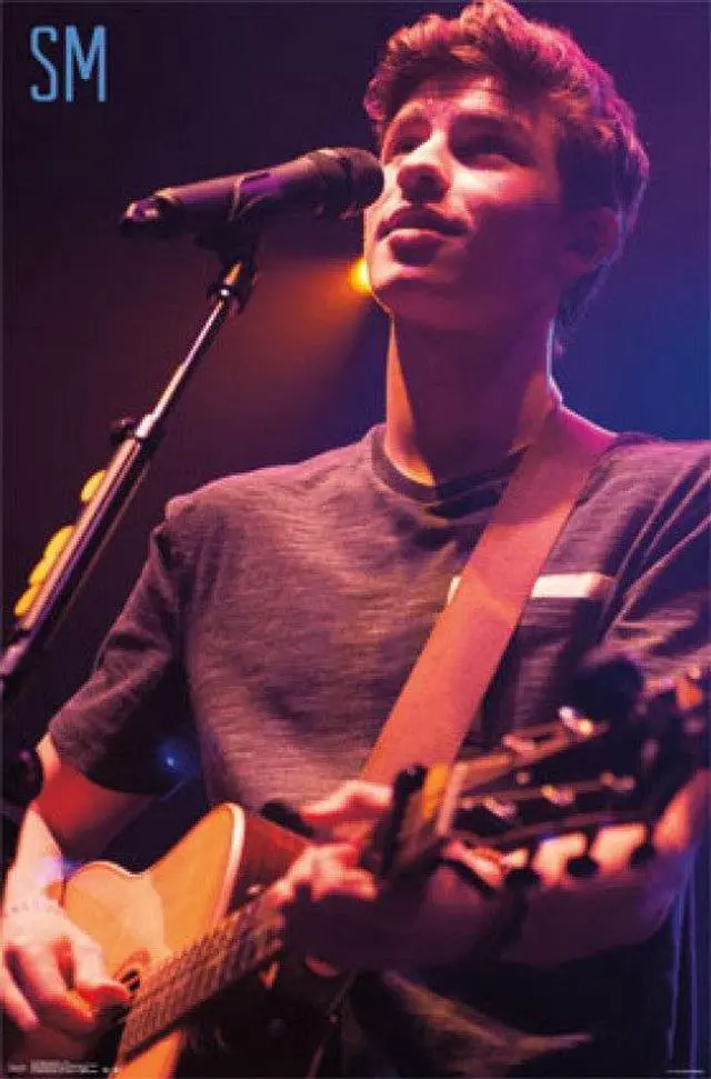 Main image of Shawn Mendes - Live Poster Print (24 x 36)