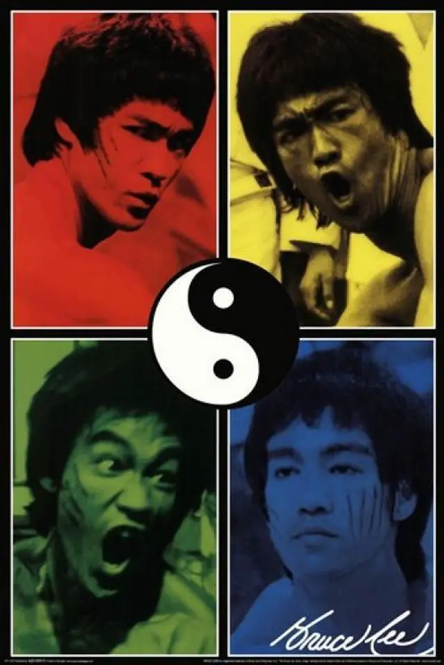 Main image of Bruce Lee - Colors Poster (24 x 36)