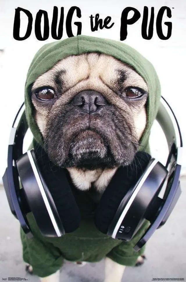 Main image of Dug The Pug - Headphones Poster Print (22 x 34)