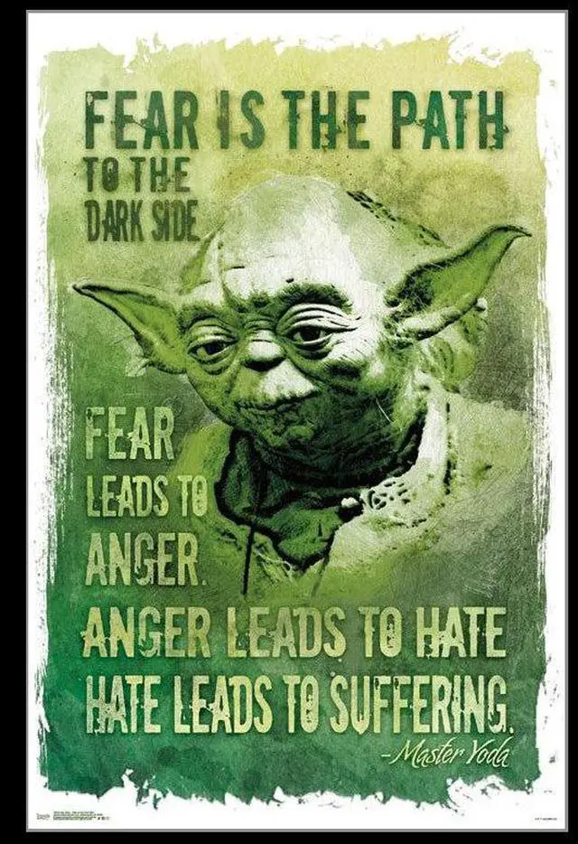 Main image of Star Wars - Path To The Dark Side Poster Print (22 x 34)
