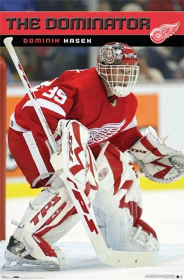 Main image of Detroit - Hasek Poster Print (22 x 34)