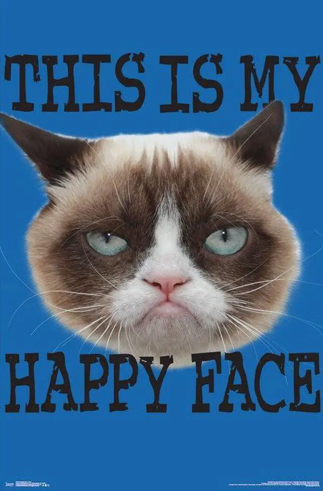 Main image of Grumpy Cat - Face Poster Print (22 x 34)